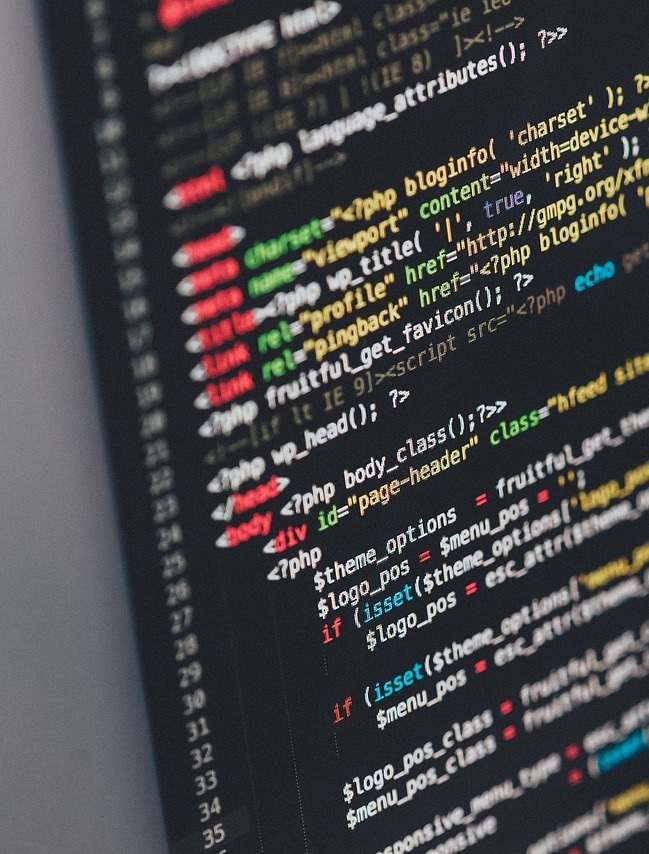 mobile app development